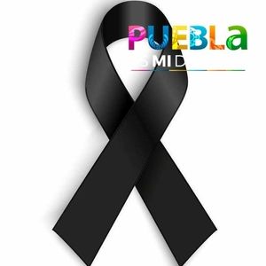 Meet your Posher, Norma